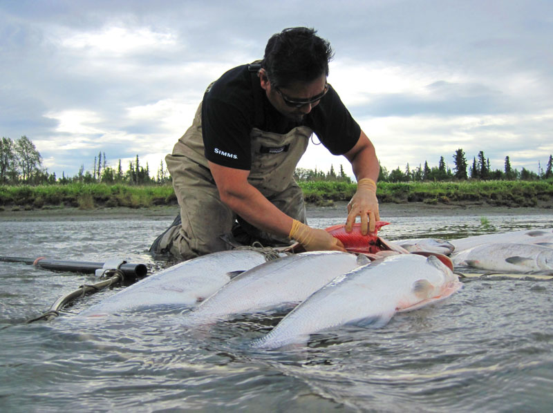 07-23-11 FVE cleaning reds 4.jpg